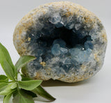 Crystals ~ Celestite 2209 grams