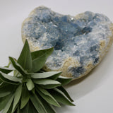Crystals ~ Celestite 1838 grams