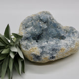 Crystals ~ Celestite 1838 grams
