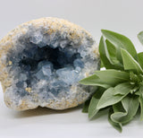 Crystals ~ Celestite 2209 grams