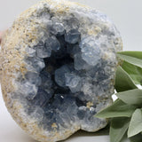 Crystals ~ Celestite 2209 grams