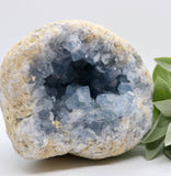 Crystals ~ Celestite 2209 grams