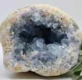 Crystals ~ Celestite 2209 grams