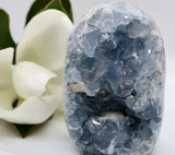Crystals ~ Celestite 1505 grams