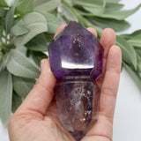 Crystals ~ Amethyst Sceptor 185 grams