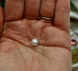 Precious Gemstones-South Sea Pearl