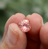 Precious Gemstones-Pretty in Pink Topaz