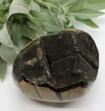 Crystals ~ Dragon Septerian Druzy Dragon Egg