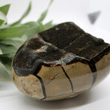 Crystals ~ Dragon Septerian Druzy Dragon Egg