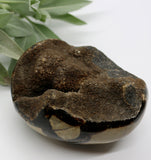 Crystals ~ Dragon Septerian Druzy Dragon Egg