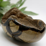 Crystals ~ Dragon Septerian Druzy Dragon Egg