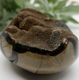 Crystals ~ Dragon Septerian Druzy Dragon Egg