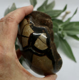 Crystals ~ Dragon Septerian Druzy Dragon Egg