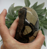 Crystals ~ Dragon Septerian Druzy Dragon Egg