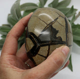 Crystals ~ Dragon Septerian Druzy Dragon Egg