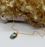 Labradorite Horn 14K Gold Necklace