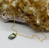 Labradorite Horn 14K Gold Necklace