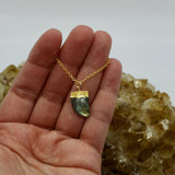 Labradorite Horn 14K Gold Necklace