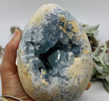 Crystals ~ Celestite EGG 2312 grams