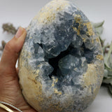 Crystals ~ Celestite EGG 2312 grams