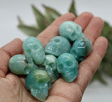 Crystals ~ Amazonite Mini Skulls