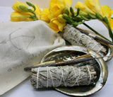 Abalone Cleansing Bowl + Sage + Palo Santo + Copal Bundle