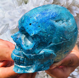 Crystals ~ Druzy Aura Quartz Skull 1.34 lb