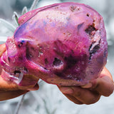 Crystals ~ Druzy Aura Quartz Skull 1.88 lb