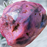 Crystals ~ Druzy Aura Quartz Skull 1.88 lb