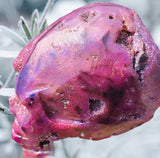 Crystals ~ Druzy Aura Quartz Skull 1.88 lb