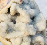 Crystals ~ Druzy Aura Quartz Skull 2.2 lb