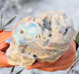 Crystals ~ Druzy Aura Quartz Skull 2.2 lb
