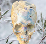 Crystals ~ Druzy Aura Quartz Skull 2.2 lb
