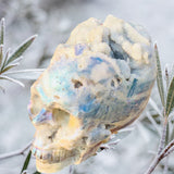 Crystals ~ Druzy Aura Quartz Skull 2.2 lb