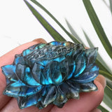 Crystals ~ Labradorite Lotus Flower