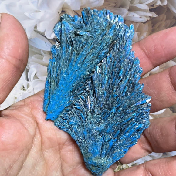 Crystals ~ Aqua Aura Quartz Kyanite-2
