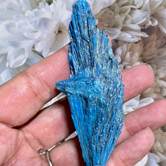 Crystals ~ Aqua Aura Quartz Kyanite-3