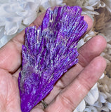 Crystals ~ Purple Aura Quartz Kyanite