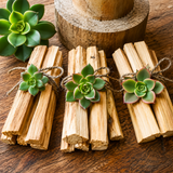 Palo Santo Wood Bundle with Succulent for Energy Cleansing & Sacred Rituals