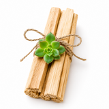 Palo Santo Wood Bundle with Succulent for Energy Cleansing & Sacred Rituals