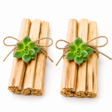 Palo Santo Wood Bundle with Succulent for Energy Cleansing & Sacred Rituals