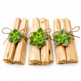 Palo Santo Wood Bundle with Succulent for Energy Cleansing & Sacred Rituals