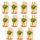 Palo Santo Wood Bundle with Succulent for Energy Cleansing & Sacred Rituals