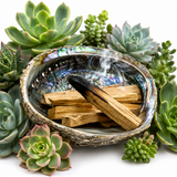 Palo Santo Wood Bundle with Succulent for Energy Cleansing & Sacred Rituals