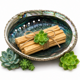 Palo Santo Wood Bundle with Succulent for Energy Cleansing & Sacred Rituals