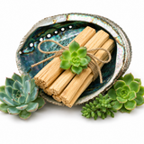 Palo Santo Wood Bundle with Succulent for Energy Cleansing & Sacred Rituals