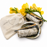 Abalone Shell Cleansing Bundle with Sage, Copal & Palo Santo