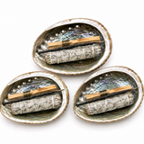 Abalone Shell Cleansing Bundle with Sage, Copal & Palo Santo