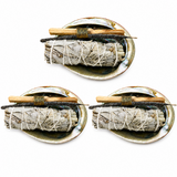 Abalone Shell Cleansing Bundle with Sage, Copal & Palo Santo