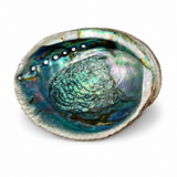 Abalone Shell Cleansing Bowl for Ritual & Sacred Space